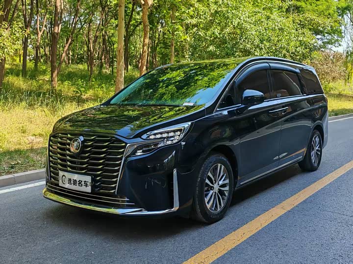 2023 Buick GL8 2023 ES Lu Zun Exclusive Model
