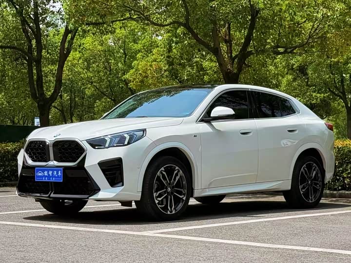 2024 BMW X2 (Imported) 2024 sDrive25i M Sports Package