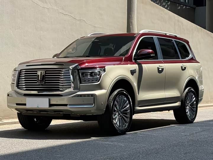 2022 Tank 500 2022 3.0T high-end customized version 5 seats
