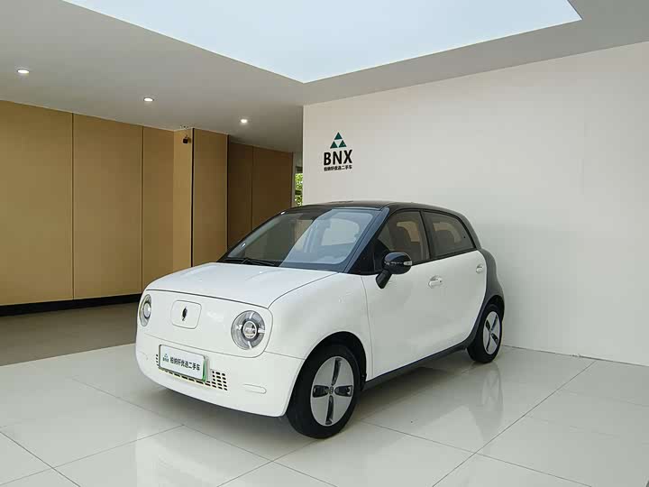 2021 Euler Black Cat 2022 301km basic model ternary lithium