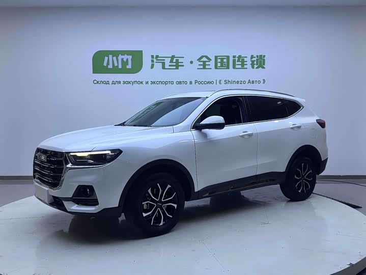 2023 Haval H6 2021 Guochao Edition 1.5T Automatic Urban Edition