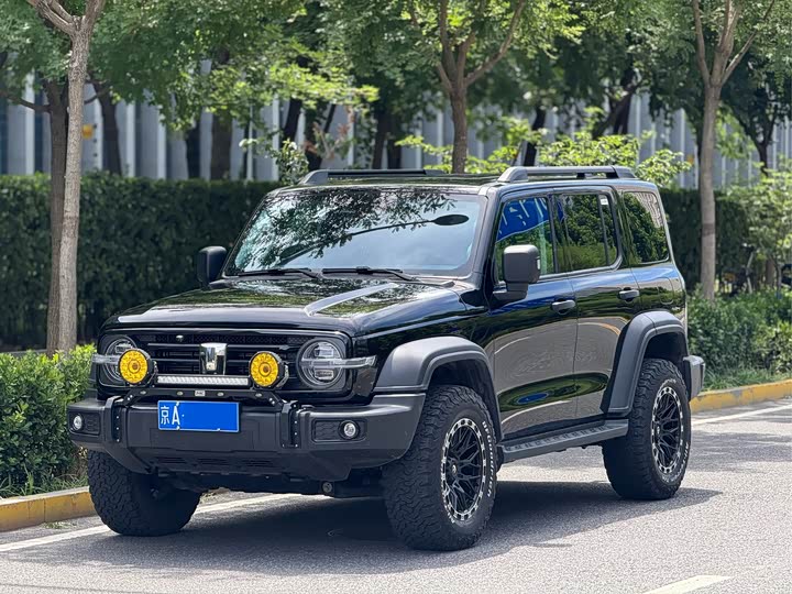 2025 Tank 300 2025 2.0T Gasoline Conqueror