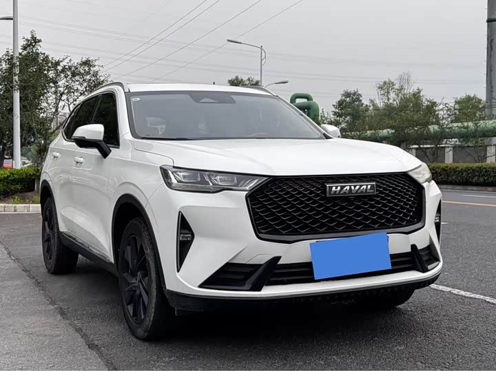 2021 Haval H6 2021 third generation 2.0T automatic two-wheel drive Max