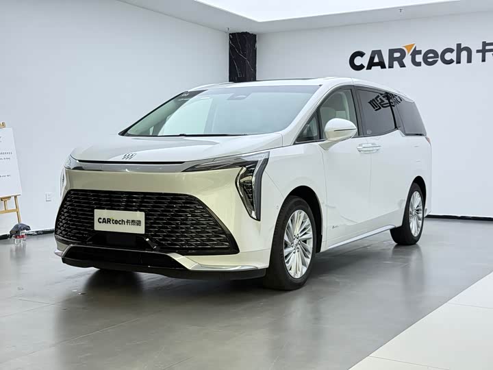 Century 2025 Model 2.0T Seven-Seater Yunshi Edition