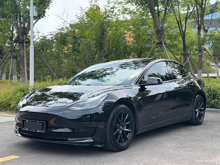 2021 Model 3 2021 facelift standard range rear drive upgraded version 3D1