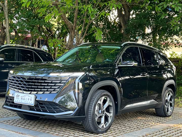 2023 Boyue L 2023 1.5TD DCT premium model