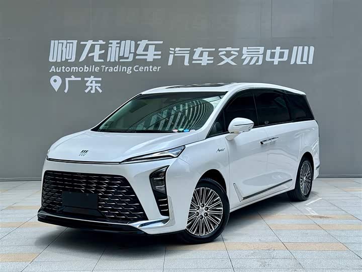 2025 Buick GL8 New Energy 2024 Lu Zun Exclusive Edition 7 seats