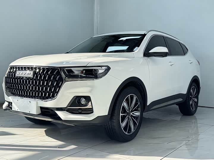 2023 Haval H6 2023 National Fashion Edition 1.5T Automatic Champion Edition