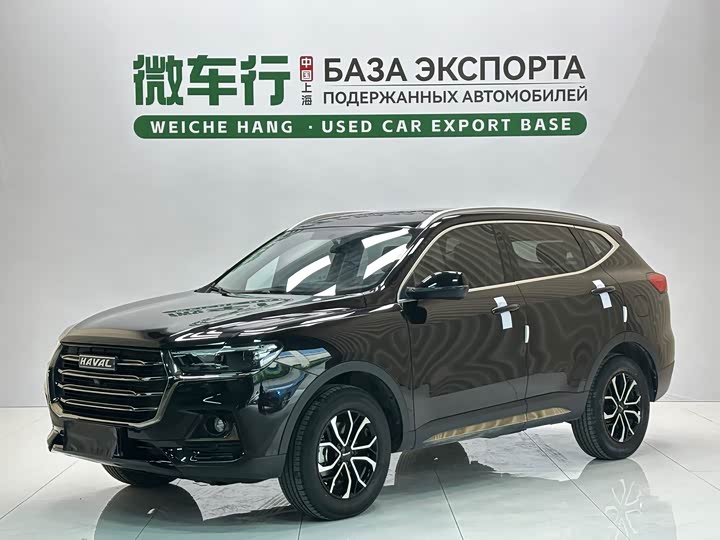 2022 Haval H6 2021 Guochao Edition 1.5T Automatic Urban Edition