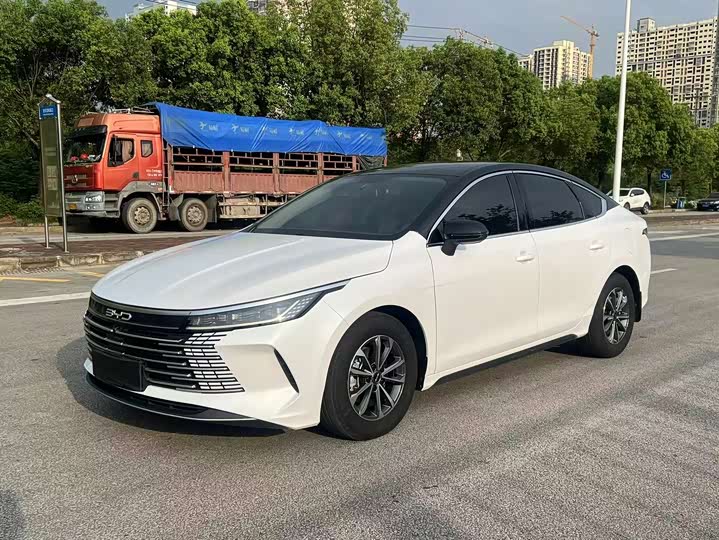 2024 Destroyer 05 2024 Honor Edition DM-i 55KM Luxury Type