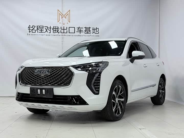 2021 Haval First Love 2021 1.5T Automatic Junior Edition