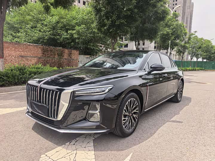 2024 Hongqi H5 2024 2.0T Automatic Zhilianqichang Edition