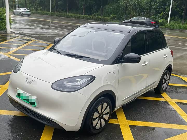 2024 Wuling Bingo 2024 model 333km Yuexiang model
