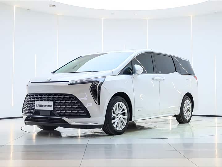 Century 2025 2.0T Six-seater Yuanshi Edition