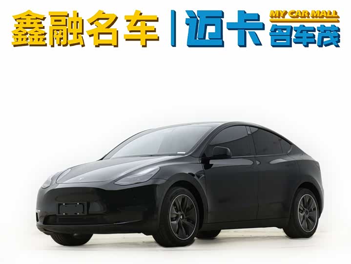 2021 Model Y 2021 long-range all-wheel drive version 3D7