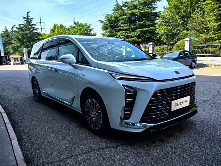 2024 Buick GL8 New Energy 2024 Lu Zun Luxury Edition 7 seats