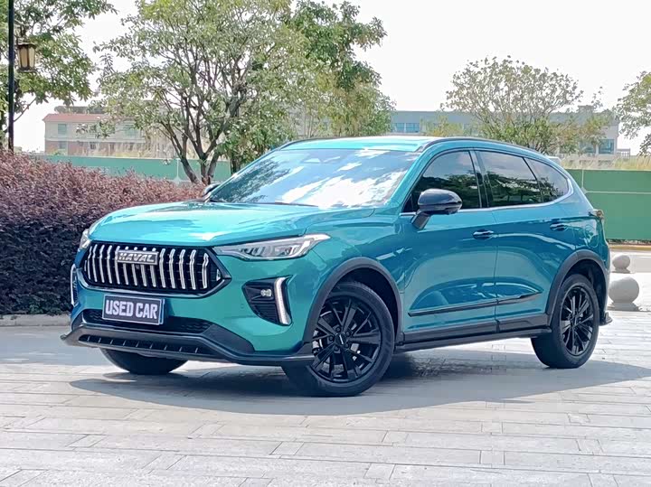 2021 Haval Red Rabbit 2021 Engine Edition 1.5T Golden Rabbit