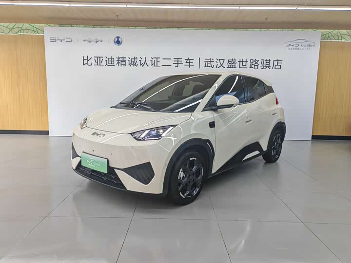 2025 Seagull 2025 smart driving version 305km free version