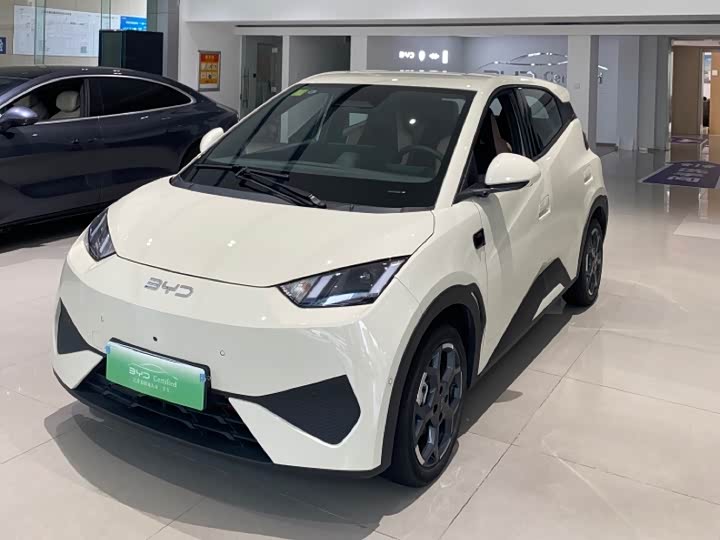 2025 Seagull 2025 smart driving version 305km free version