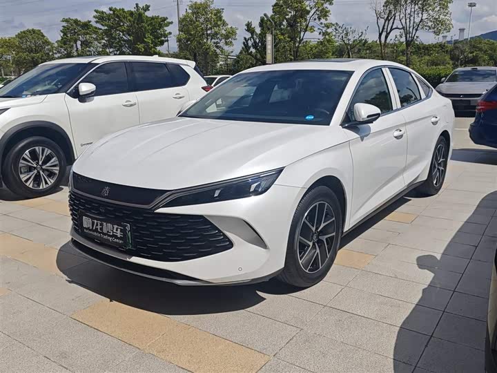 2025 Qin L 2024 DM-i 120KM transcendent model