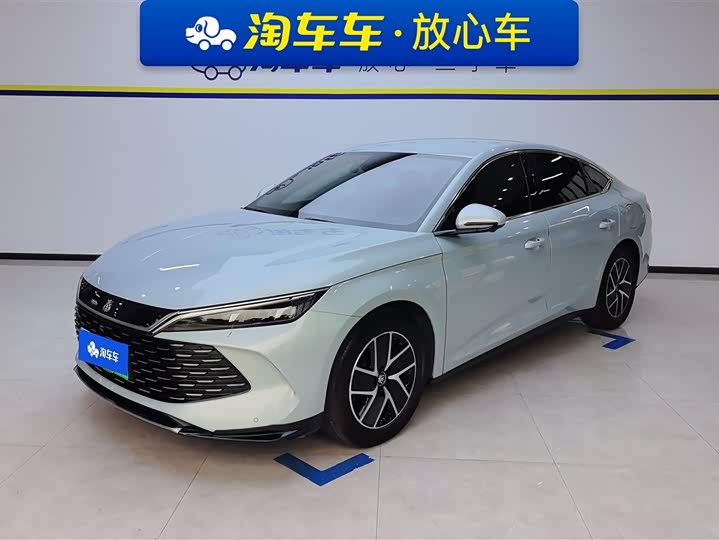 Qin L 2024 DM-i 80KM transcendent model
