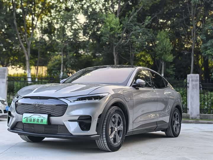 Ford Electric Horse 2021 Rear-wheel drive version (standard range)