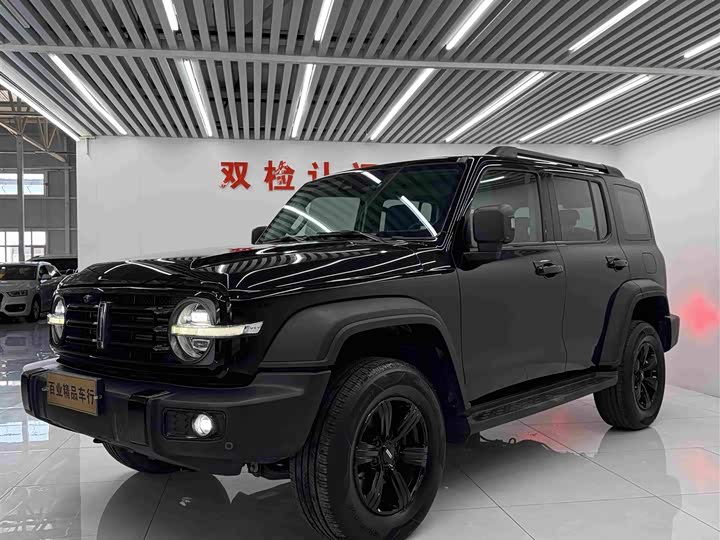 Tank 300 2021 Off-Road Version 2.0T Conqueror