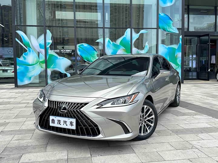 Lexus ES 2021 260 Luxury