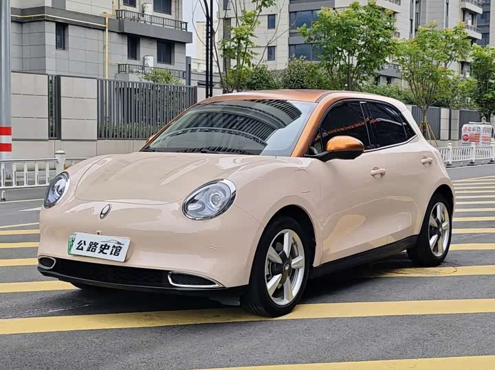 2022 ORA Good Cat 2022 400km Standard Range Deluxe LFP