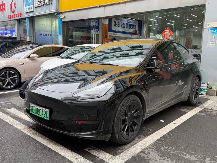 Model Y 2021 standard range rear-wheel drive version