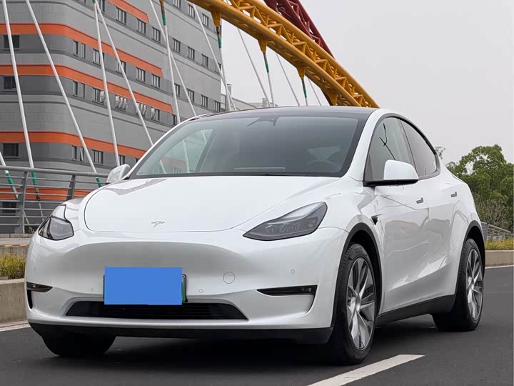 2021 Model Y 2021 standard range rear-wheel drive version