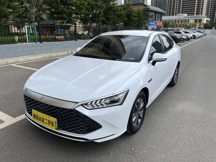 2024 Qin PLUS 2024 Honor Edition DM-i 55KM Leading Type