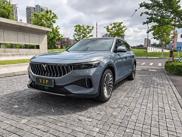 2021 Lantu FREE 2021 four-wheel drive standard extended range exclusive luxury package