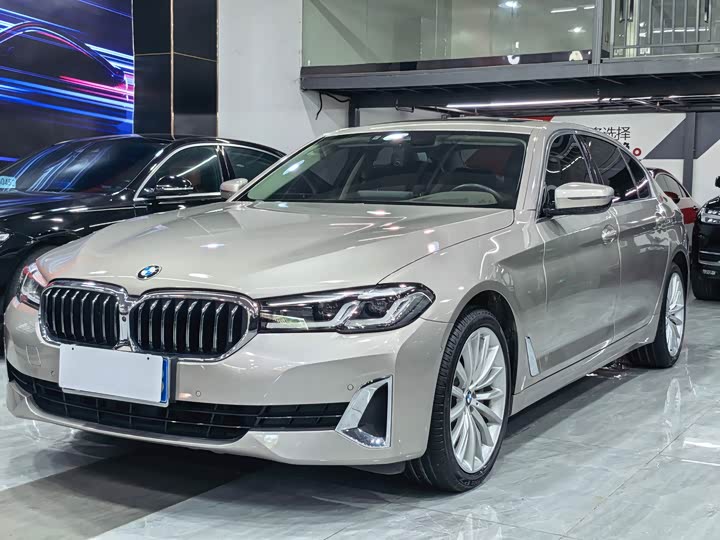 2021 BMW 5 Series 2021 530Li Luxury Line