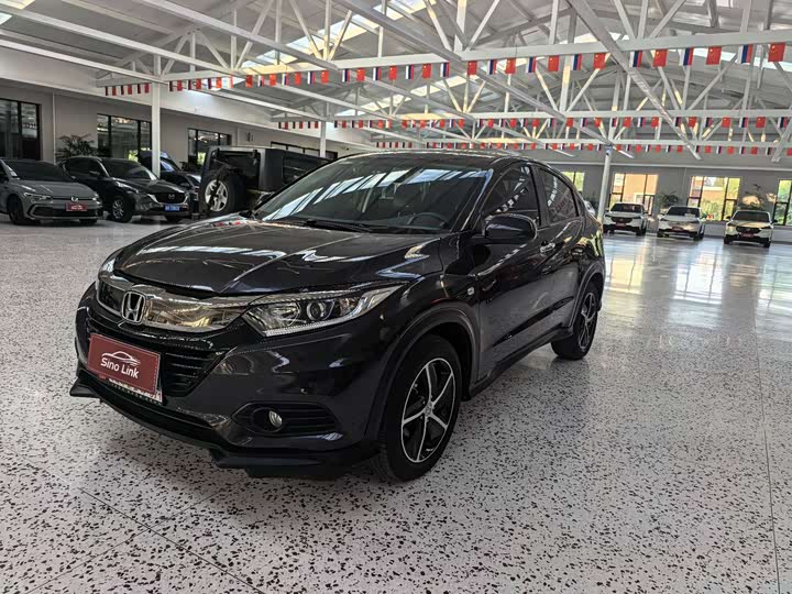 Binzhi 2022 1.5L CVT Fantasy Night Pioneer Edition