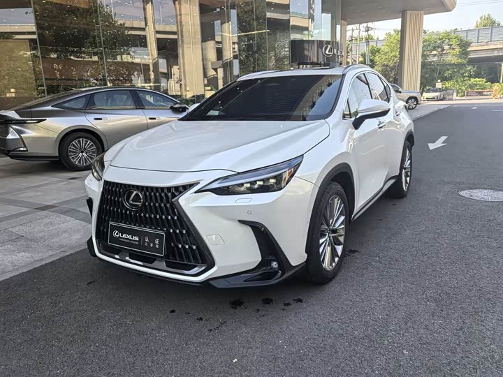 Lexus NX New Energy 2022 400h Changling Edition