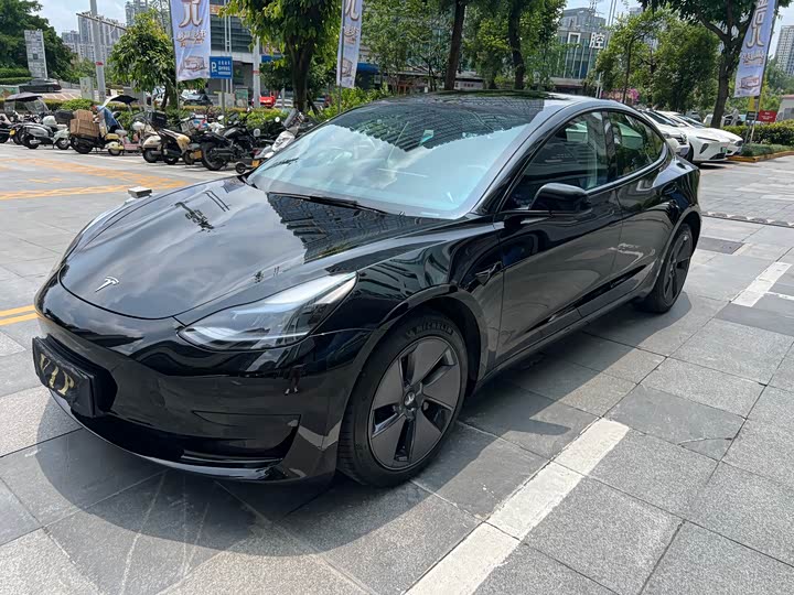 Model 3 2022 rear-wheel drive version
