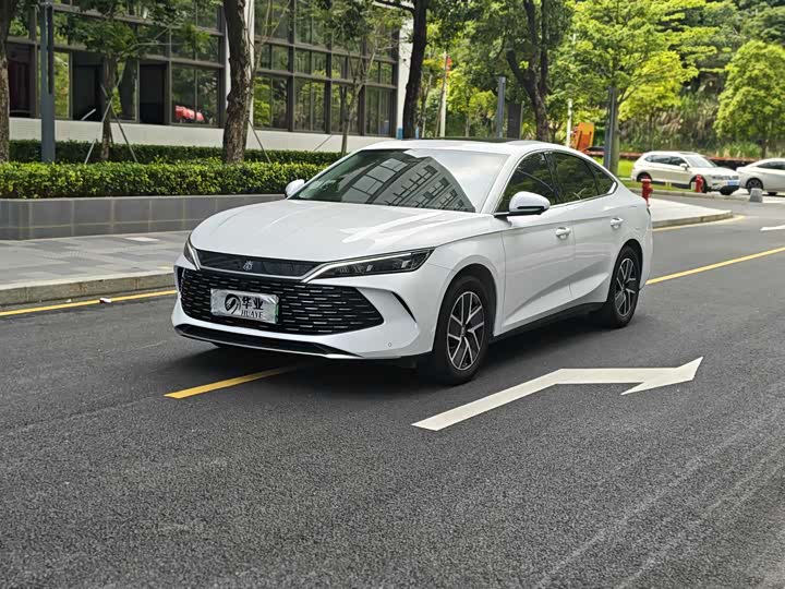 Qin L 2024 DM-i 80KM transcendent model