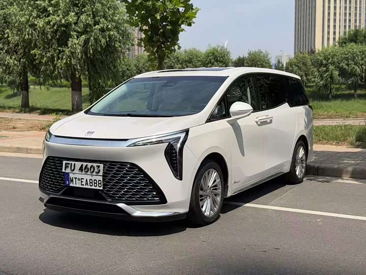 Century 2023 2.0T Six-Seater Yunshi Edition