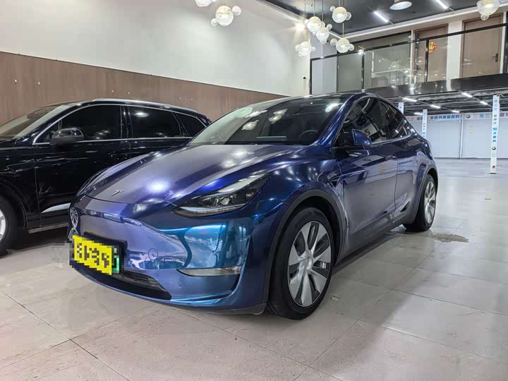 Model Y 2021 standard range rear-wheel drive version