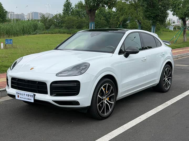 Cayenne 2022 Cayenne Coupé 3.0T Platinum Edition