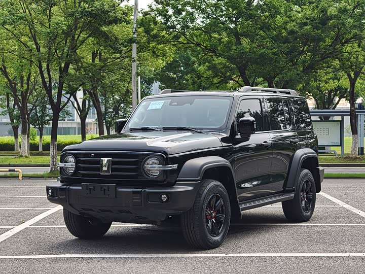 Tank 300 2021 Off-Road Version 2.0T Challenger