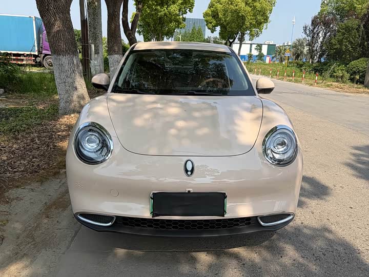 Euler Good Cat 2024 401km Comfort Model