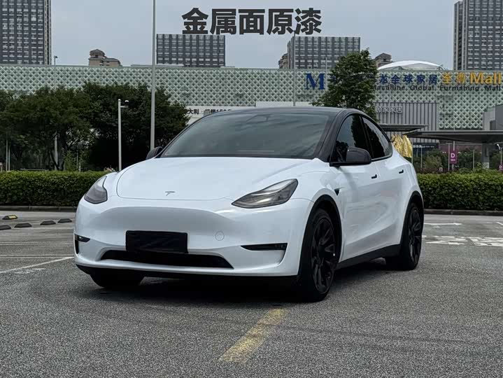 Model Y 2021 standard range rear-wheel drive version