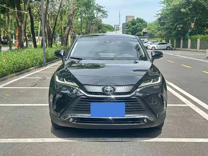 Lingfang HARRIER 2022 2.0L CVT two-wheel drive aggressive version