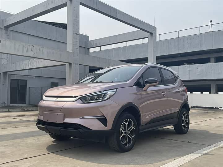 Yuan Pro 2023 model 401KM luxury model