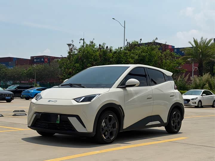 Seagull 2025 305km Free Edition