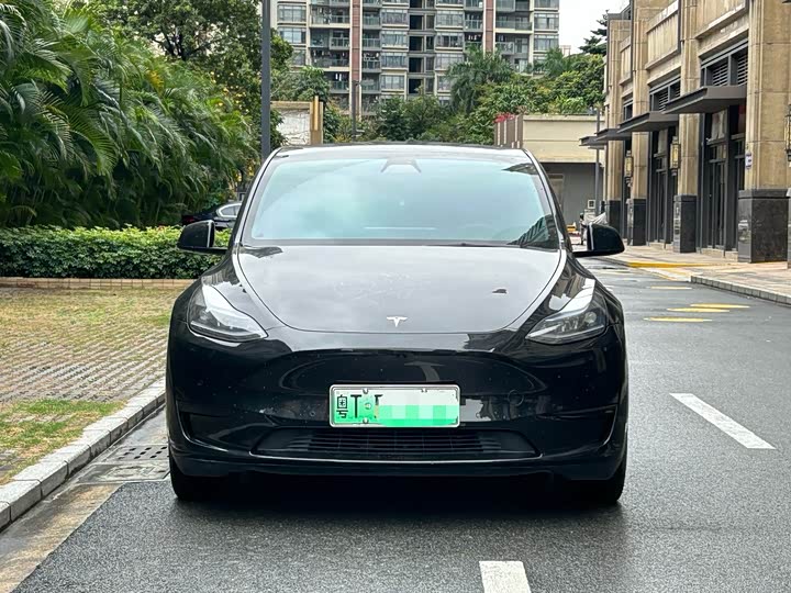 Model Y 2021 standard range rear-wheel drive version
