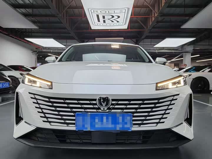Eado 2025 Blue Whale 1.5T 500Bar Premium Type