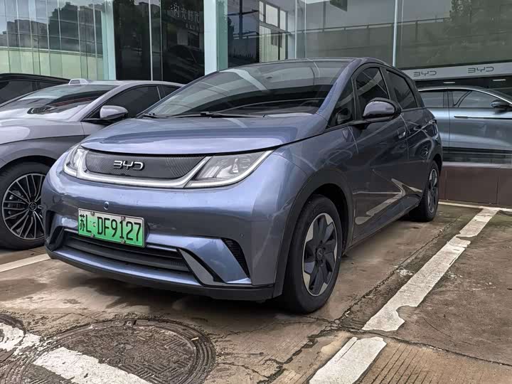 Dolphin 2024 Honor Edition 420km Fashion Edition